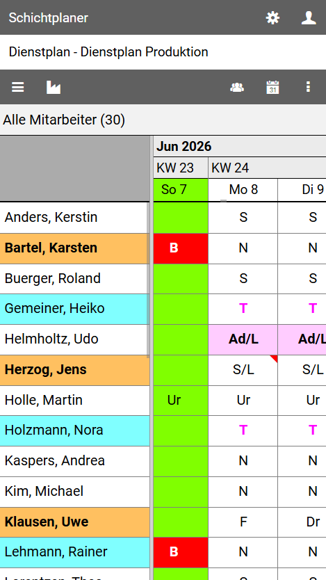 Dienstplanansicht